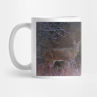 Snowy Buck - White-tailed deer Mug